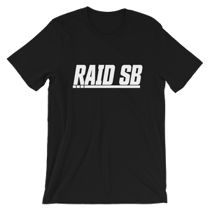Raid SB Basic 1