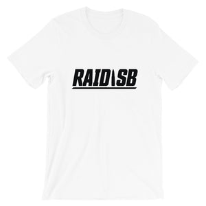 Raid SB Basic Bullet